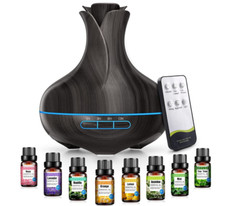 Vaaghanm aroma diffuser gebraucht kaufen  Gerolzhofen