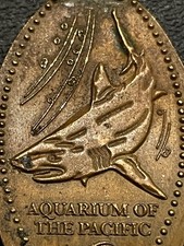 Aquarium pacific elongated for sale  Memphis