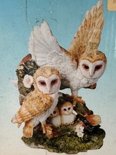 Barn owl family for sale  CHEADLE