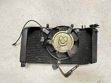 Radiatore completo ventola usato  Italia