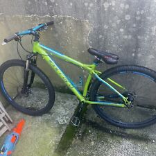 Green carrera sulcata for sale  LONDON