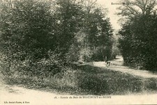 Entrance card the d'occasion  Expédié en Belgium