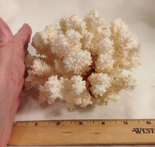 Natural coral white for sale  Fort Worth