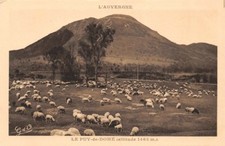 Puy dôme d'occasion  France