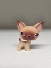 Lps littlest pet for sale  Greencastle