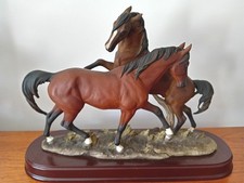 Stunning huge racehorses for sale  HEREFORD