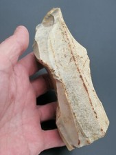 Upper paleolithic rare d'occasion  Bonneville