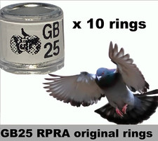 Rpra racing pigeons for sale  RAMSGATE