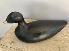 Sacramento valley coot for sale  Dillon