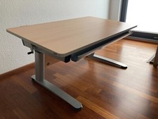 Toller schreibtisch paidi gebraucht kaufen  Hattingen