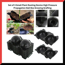 Plant root high for sale  BURNLEY