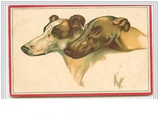 Greyhound dog 3894 d'occasion  Expédié en Belgium