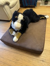Luxury orthopaedic dog for sale  WOKINGHAM