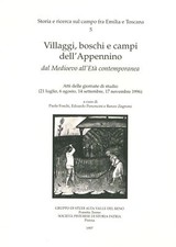 Villaggi boschi campi usato  Castiglione dei Pepoli