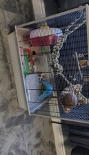 Used good rat for sale  BATLEY