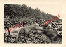 Zmarłe konie jednostki artylerii polskiej pod Kielcami Polska na sprzedaż  Wysyłka do Poland