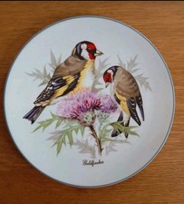Royal grafton golden for sale  BEXHILL-ON-SEA