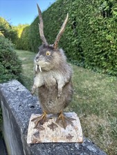 Wolpertinger bayerisches urvie gebraucht kaufen  Hersbruck