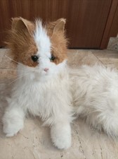 Pelliccia real gatto usato  Roma