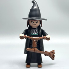 Playmobil witch sorceress for sale  Saint Augustine