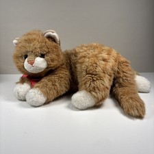 Kat ginger cat for sale  BRISTOL