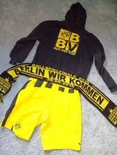 Borussia dortmund pullover gebraucht kaufen  Dammbach