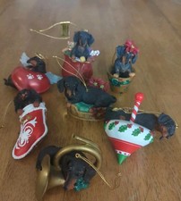 Lot delightful dachshund for sale Lot delightful dachshund for sale  Grand Junction
