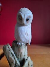 Teviotdale little owlet for sale  RAYLEIGH