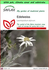 Saflax garden edelweiß gebraucht kaufen Saflax garden edelweiß gebraucht kaufen  Münster