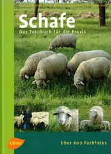 Fischer rieder schafe gebraucht kaufen  Bad Lippspringe