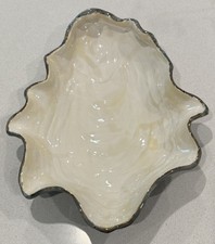 Abigail seaside oyster for sale  Loxahatchee