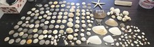 Large lot seashells for sale  Pelham