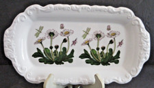 Vintage portmeirion botanic for sale  Astoria