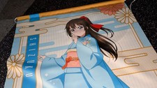 44x anime wallscrolls gebraucht kaufen  Fürth