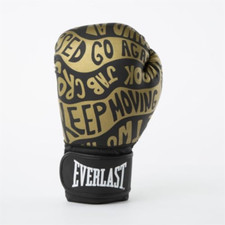 Everlast guanti boxe usato  Roccagloriosa