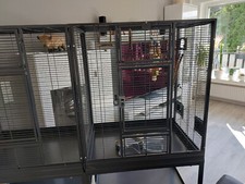 Vogelvoliere groß gebraucht kaufen  Kamen