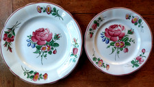 Rare assiette plat d'occasion  Sucy-en-Brie