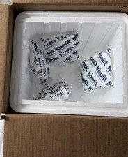 Kool Temp caixa térmica de isopor média isolada 15x 13x13 com 4 pacotes de gelo comprar usado  Enviando para Brazil