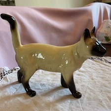 coopercraft cat for sale coopercraft cat for sale POOLE