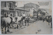 Cartolina marina carrara usato  Torino