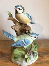 Blue tits bird for sale  STOKE-ON-TRENT