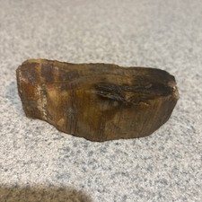 Old petrified wood for sale  Sherwood
