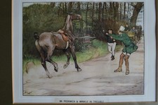 Cecil aldin print for sale  BATH
