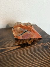 Petrified wood standing for sale  Bartlesville