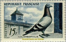 Ebs 1957 pigeon d'occasion  Expédié en Belgium