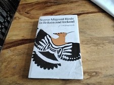 Scarce migrant birds for sale  SHEFFIELD