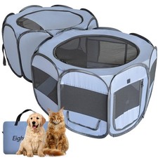 Xlarge pop dog for sale  Eugene