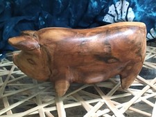 pot belly pig for sale pot belly pig for sale Stuart