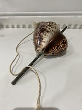 Tiger cowrie shells for sale  MORDEN