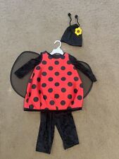 ladybug halloween costume for sale ladybug halloween costume for sale Palatine